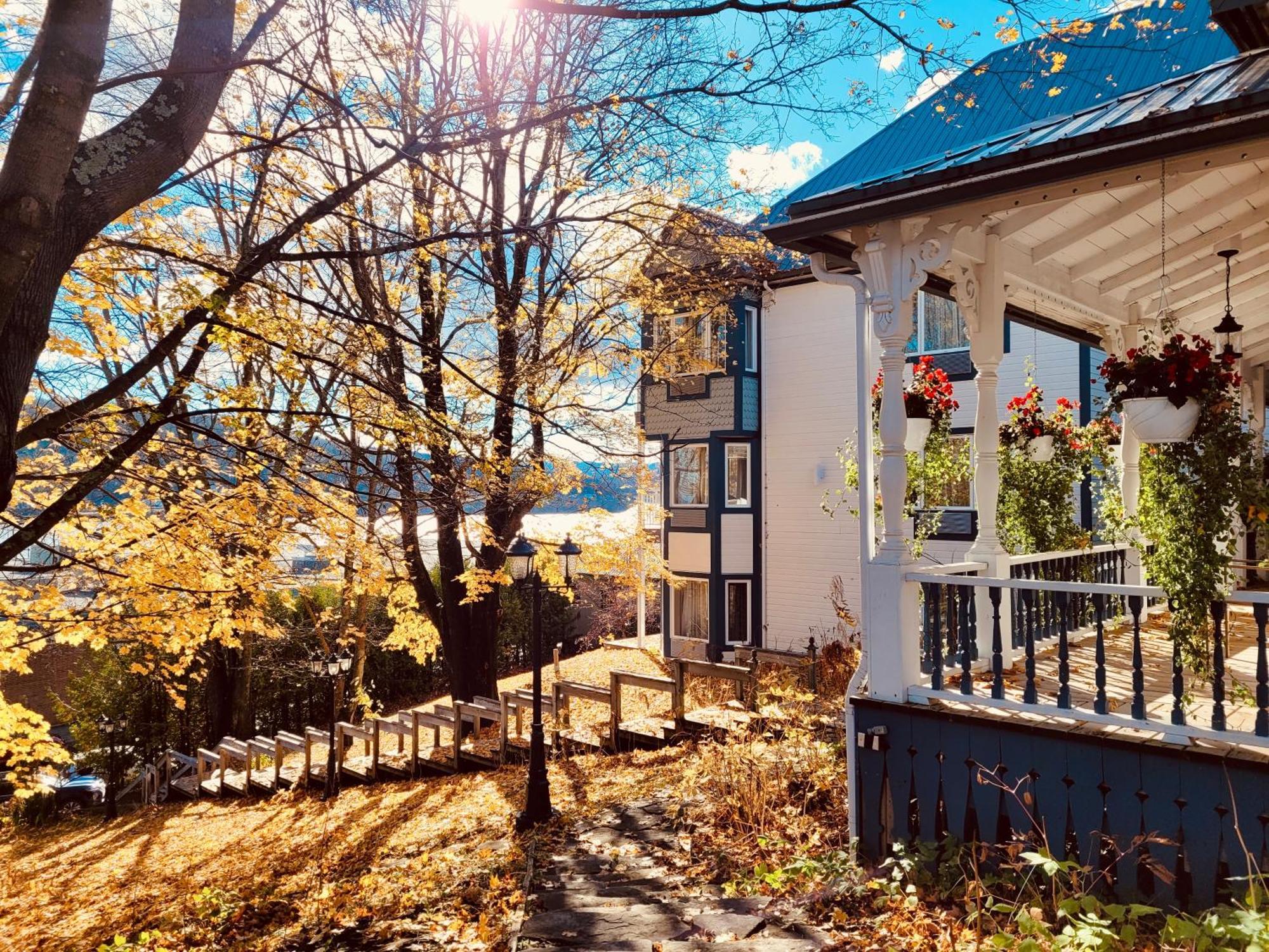 Auberge Sous Les Arbres Gaspé Buitenkant foto
