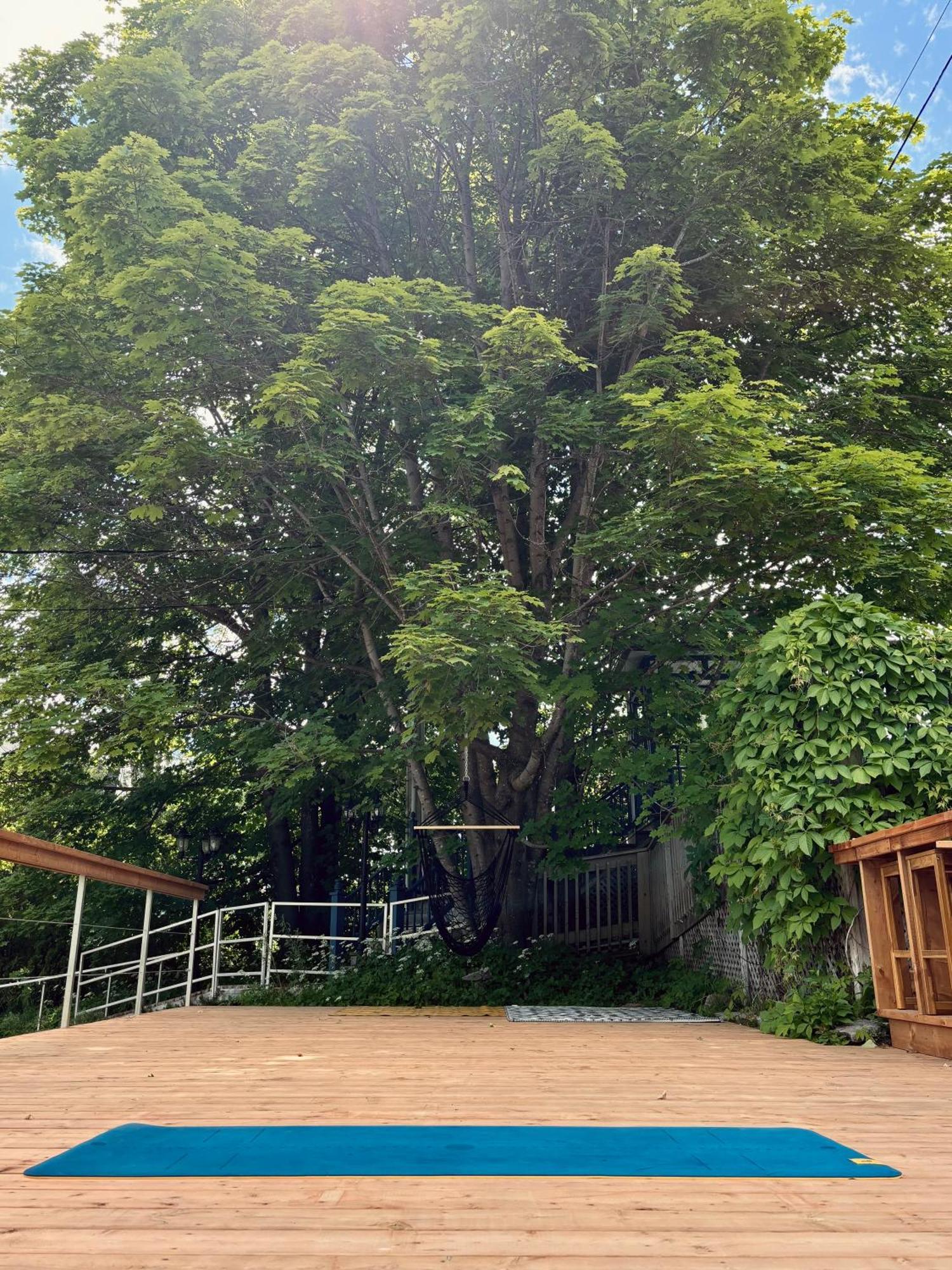 Auberge Sous Les Arbres Gaspé Buitenkant foto