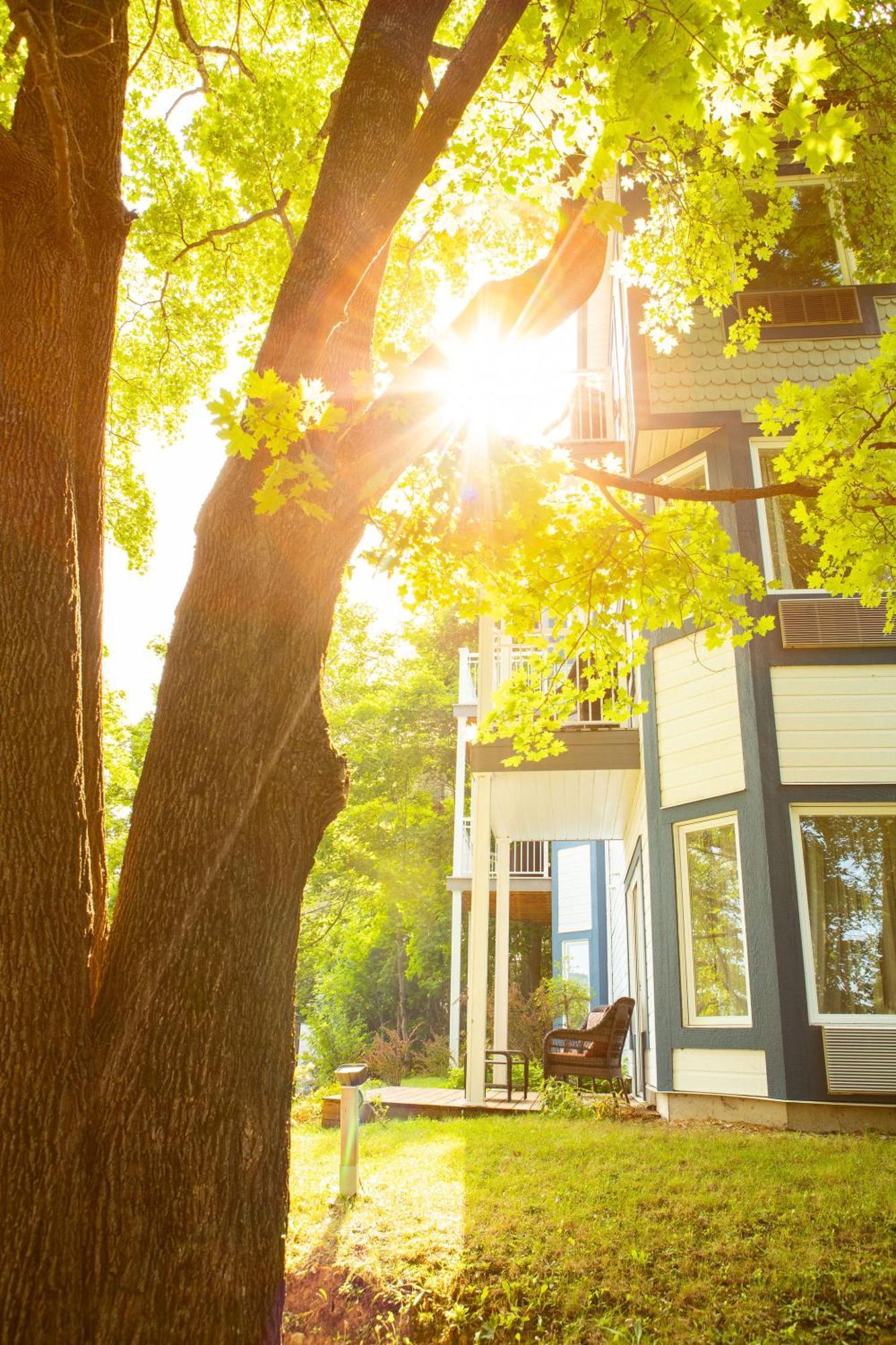 Auberge Sous Les Arbres Gaspé Buitenkant foto
